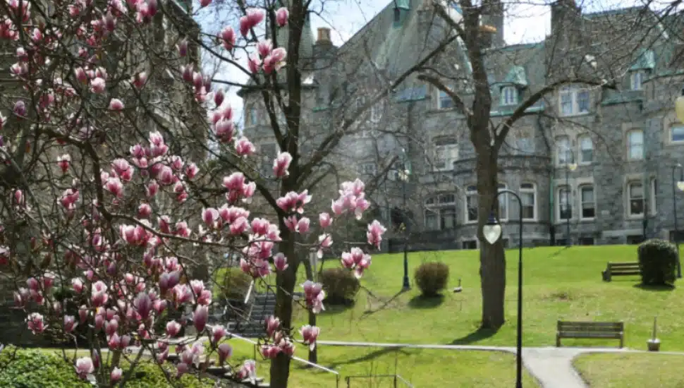 Here’s Your Guide to Colleges and Universities Around the Main Line