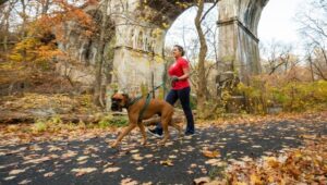 Montgomery County Trails in the fall.