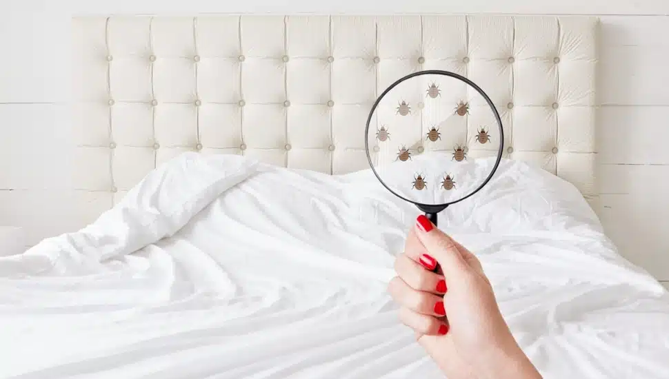 A person looking for bed bugs.