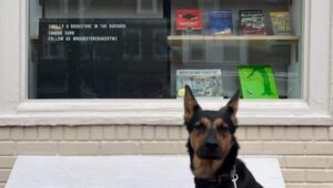 he couple's pup, Coffee, sits in front of the window of the Bookstore Bakery.
