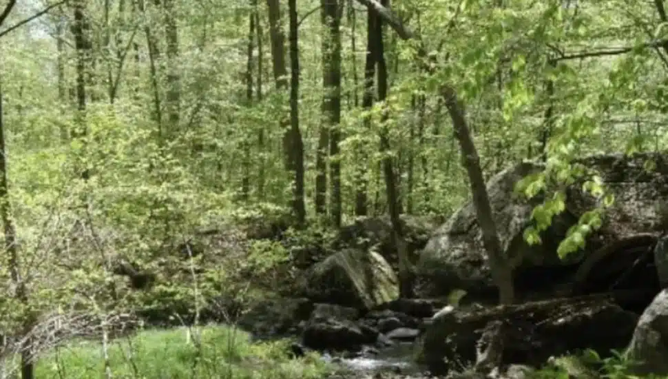 Camp Laughing Waters in Montgomery County.