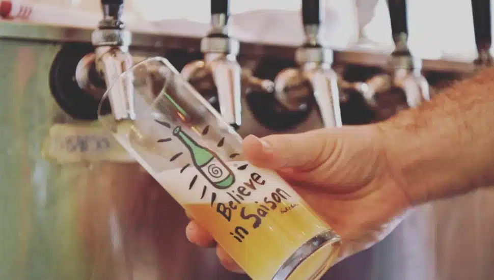 Beer from Forest & Main Brewing.