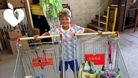 child with shopping carts
