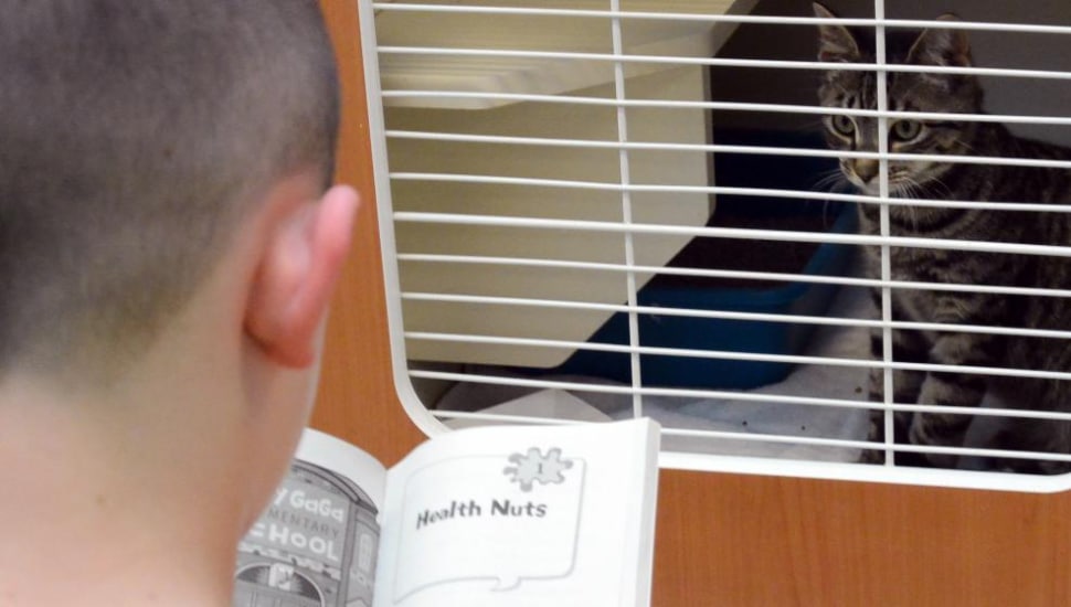 A child reads to a cat.