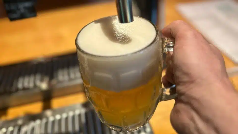 European Lager House in Thornton Expands Into Chester County