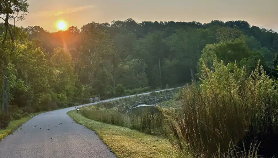 A long-winding path.
