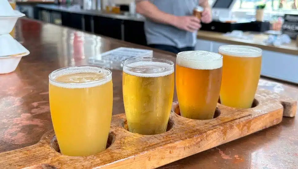 Beer at Neshaminy Creek Brewing.