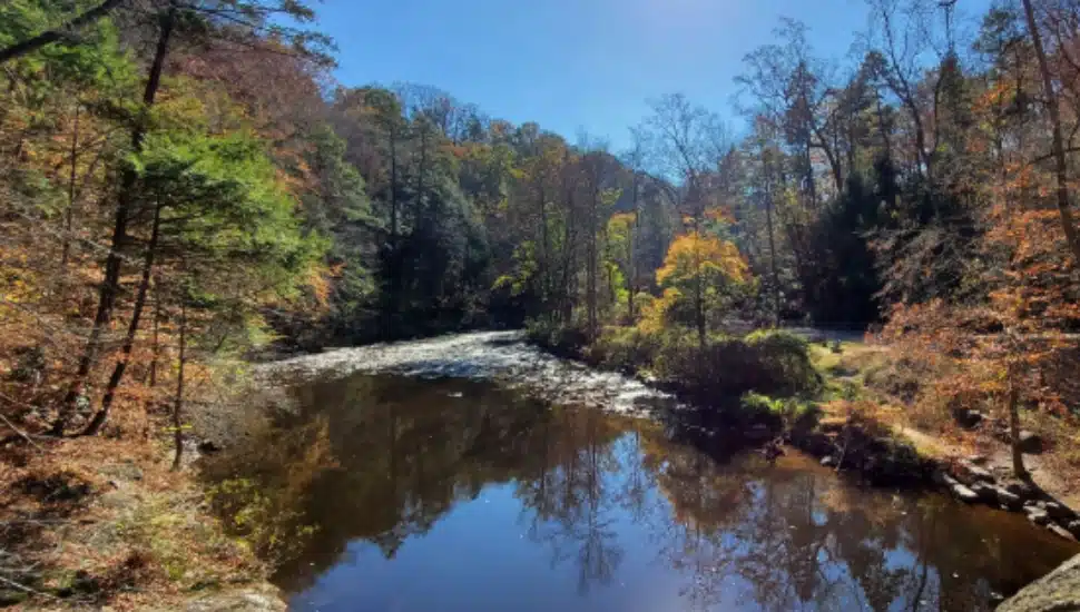 Wissahickon Valley Park.