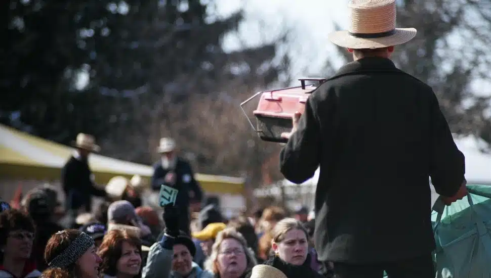 Amish mud sales auction