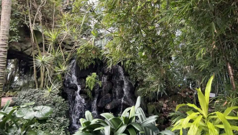 Ott's Exotic Plants in Schwenksville.