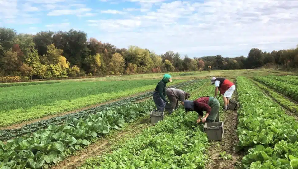 Pennypack Farm