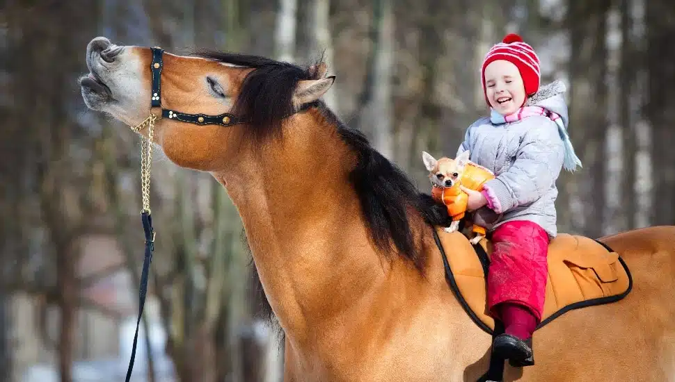 Family Fun-Filled Weekend: Bucks County’s St. Patrick’s Day Parade, Lowe’s Workshop, Howell Living History Farm and More!