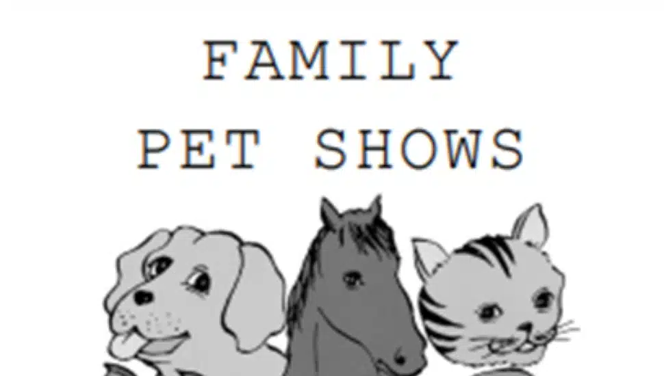 black-and-white drawings of cat, horse, and dog.