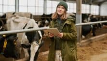 young farmer using digital tablet to watch information about each milk cow during her work on farm