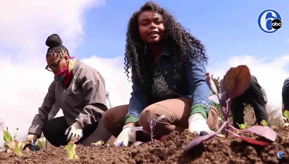People farming