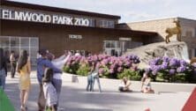 A rendering of Elmwood Park Zoo's new welcome center, set to debut this summer.