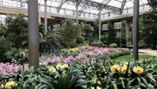 Longwood Gardens Conservatory