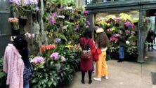 Visits take in Longwood Garden's Orchid House views.