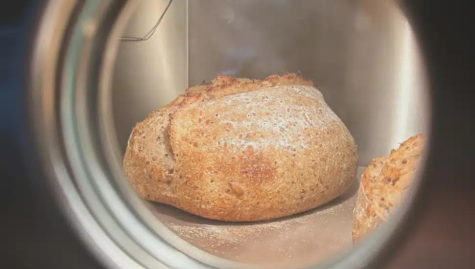 Bread for Wild Yeast Bakehouse