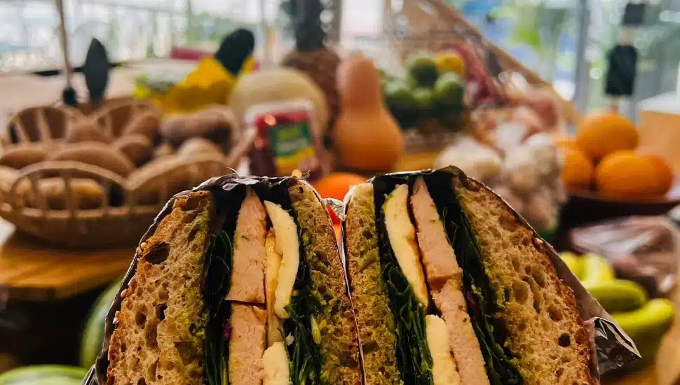 first-person view of lunch sandwich at corner store