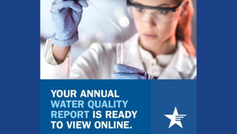 Graphic with the text, "Your Annual Water Quality Report Is Ready To View Online."