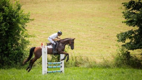 Boyd Martin jumping over a bar on his horse