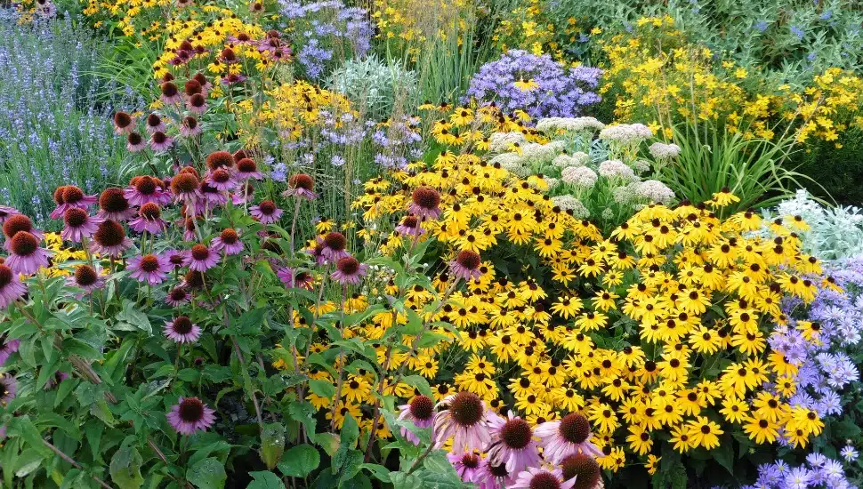 Elkins Park Man Turns His Backyard Into Gorgeous Garden Sanctuary