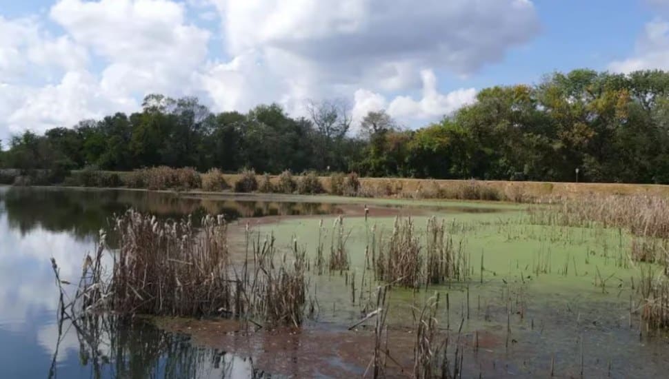 This Delaware County Spot Is a Family Alternative to Beach Heat