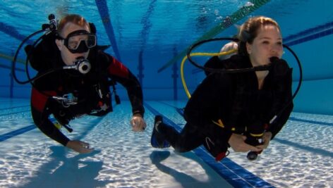 divers in swimming pool