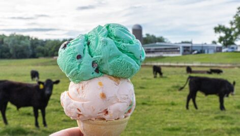 hand holding ice cream cone with two scoops of ice cream in front of field of dairy cows.