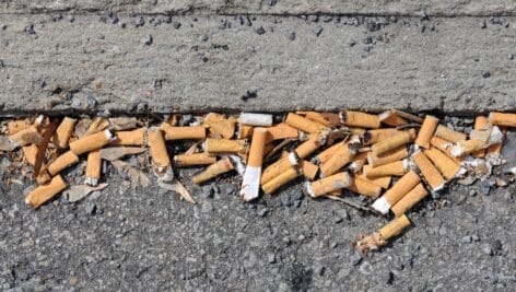 cigarette butts