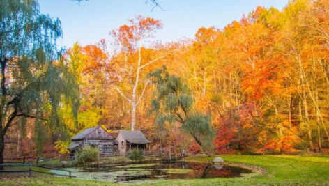 Autumn scenery in Bucks County.