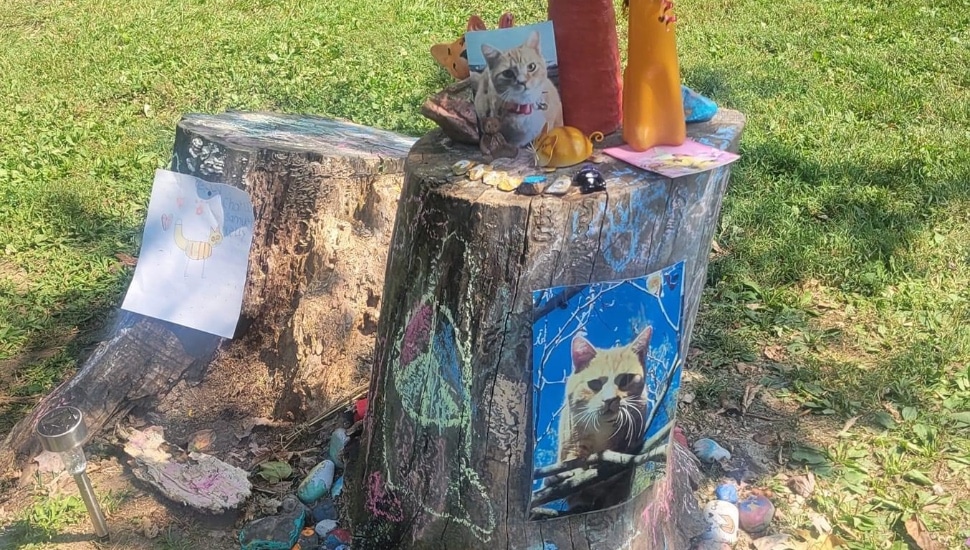 A memorial for Charlie the Cat