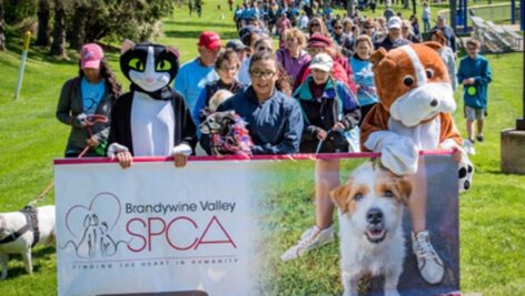 Brandywine SPCA