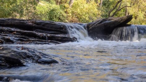 Brandywine Creek.