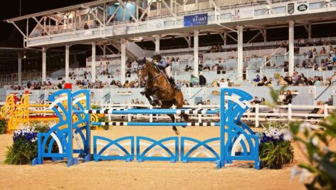 Devon Horse Show