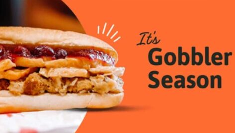 Wawa's Turkey Gobbler sandwich.