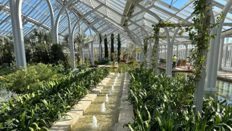 A greenhouse at Longwood Gardens