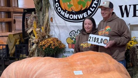 Dave and Carol Steltz posing with their giant pumpkin.