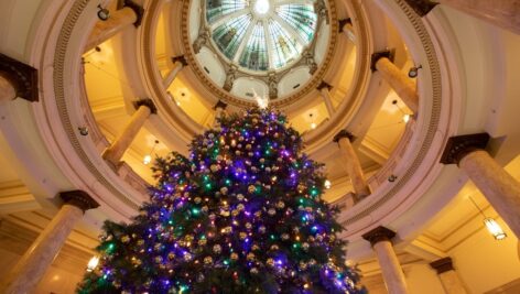 Christmas Tree at Immaculata University.