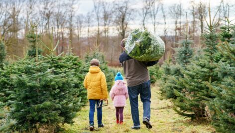 A man with his young son and daughter at a Christmas Tree Farm.