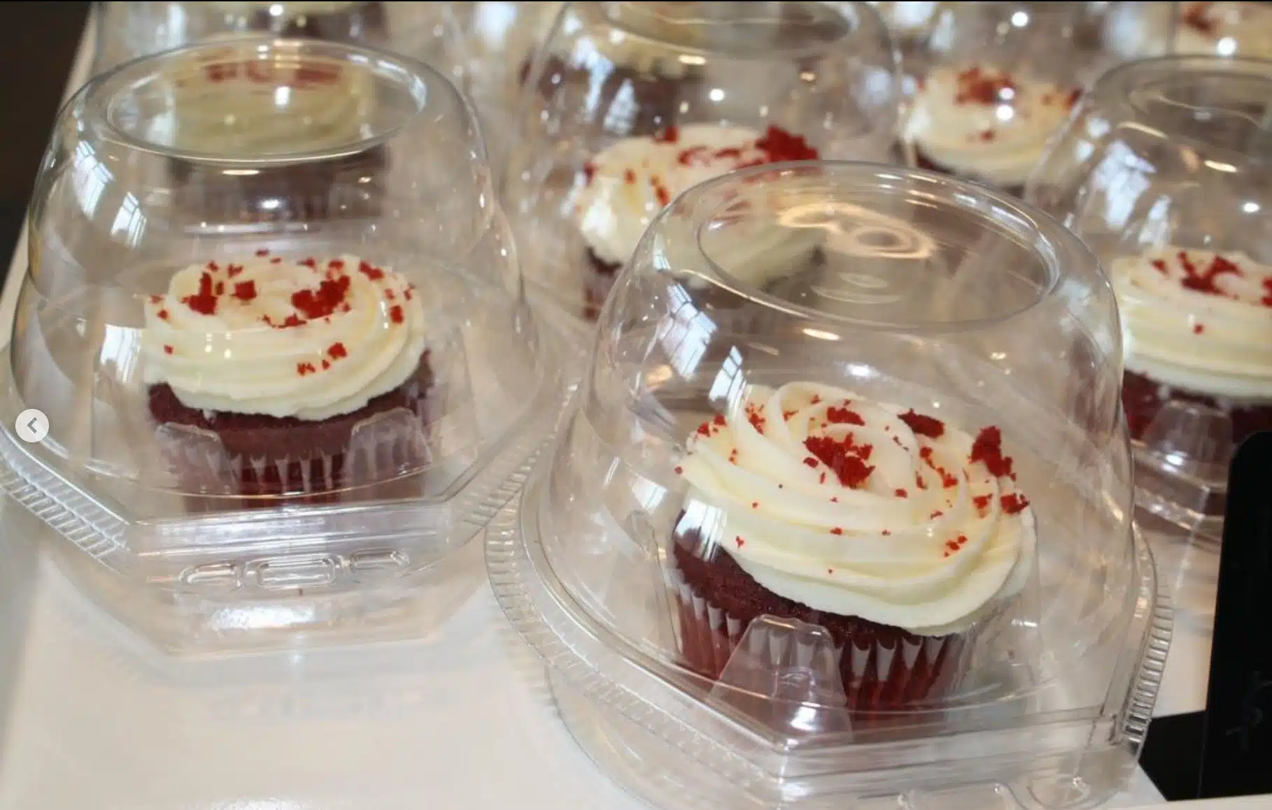 Cupcakes baked by North Montco's Technical Career Center bakery arts students.