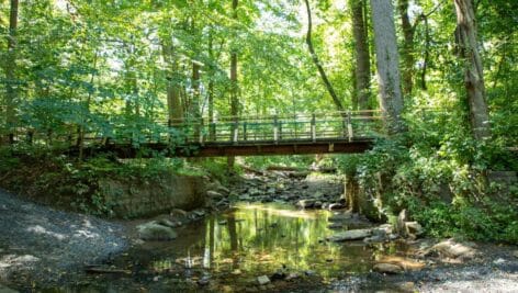 A bridge over a stream in Abington.