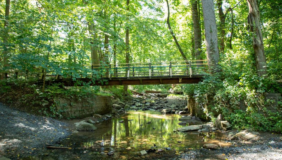 A bridge over a stream in Abington.