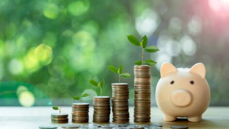 Stacks of coins in different heights with plant growing up on coin beside with cute piggy bank against nature background, plant growing up on coin. The concept of savings and investment.