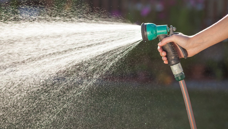 A garden hose watering a lawn.