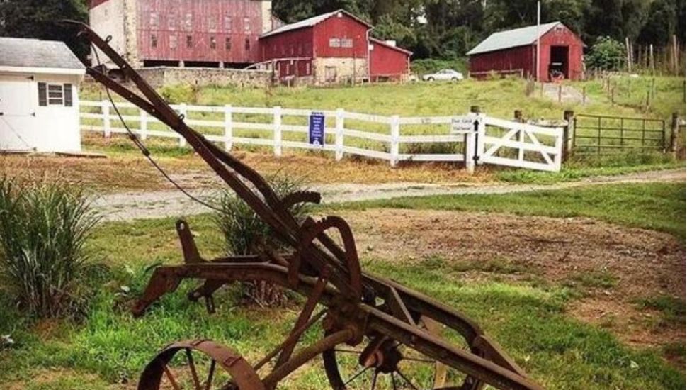 An agricultural scene at the Deer Creek Malthouse in Glen Mills.