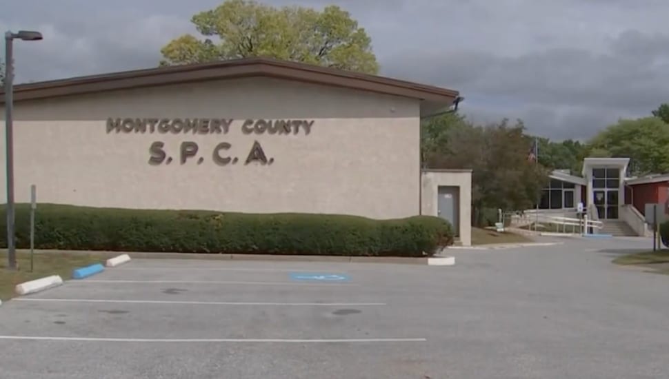 Facade of the Montgomery County SPCA facility in Conshohocken.