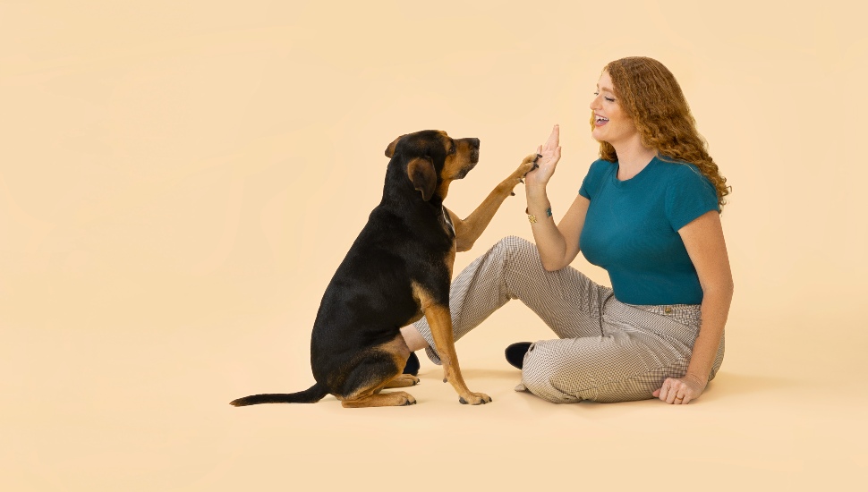 Therapist Annalisa Smithson high fives Benji, a 10-pound Maltese she uses in her therapy sessions.