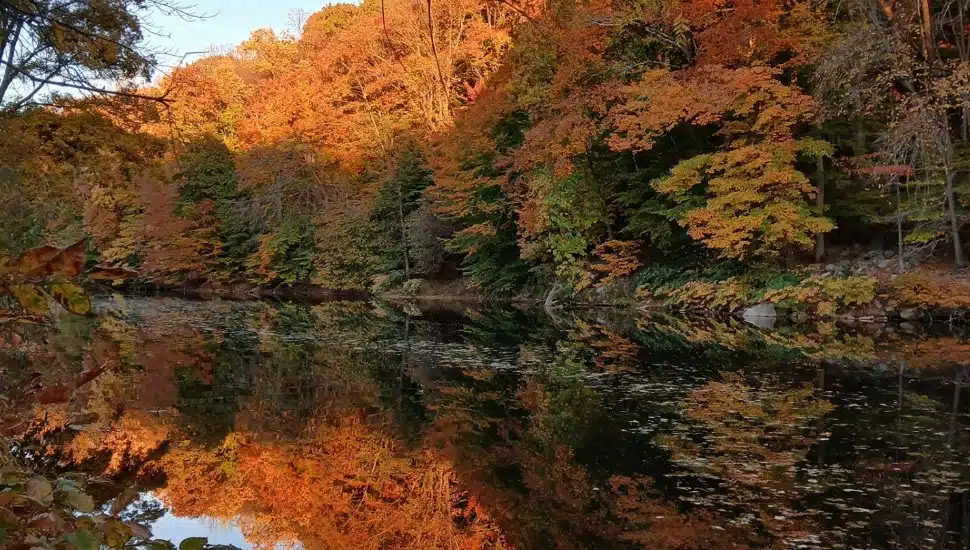 Neshaminy Creek stream.
